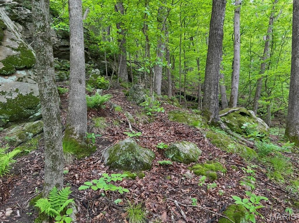 Photo 28