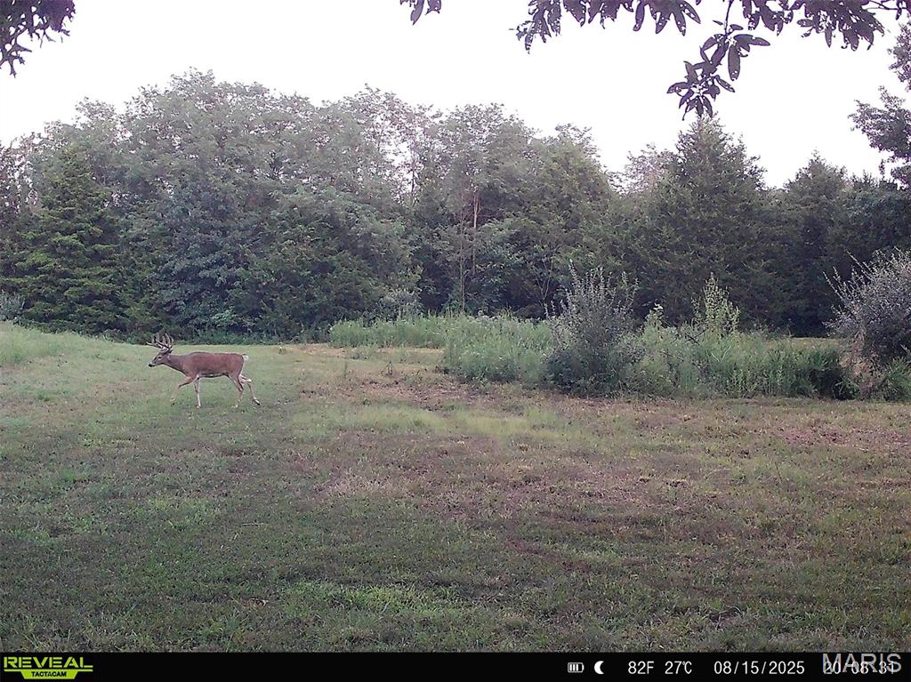 Photo 48