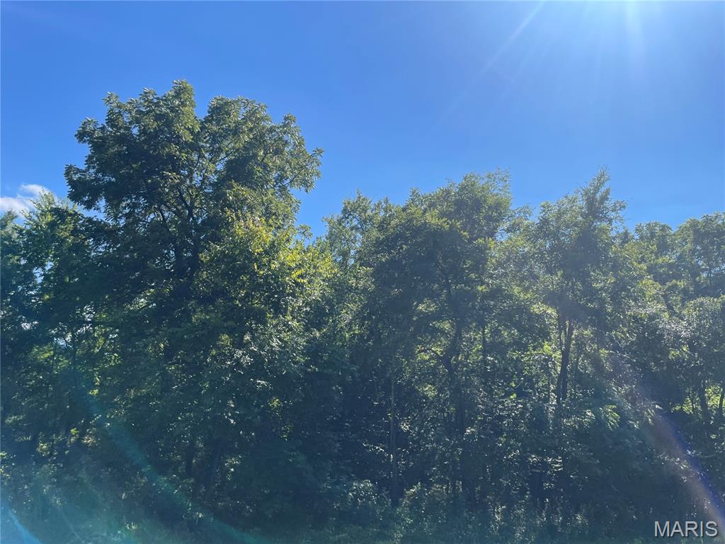 0 Wayne CR 344 Piedmont Missouri home for sale listed at $229,500