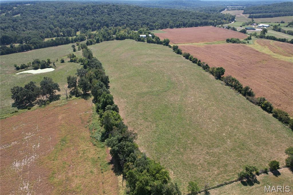 TBD Rock Creek Road Fredericktown Missouri home for sale listed at $399,999