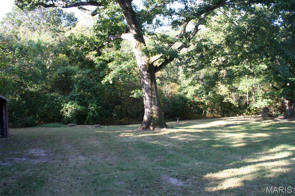 Photo 35