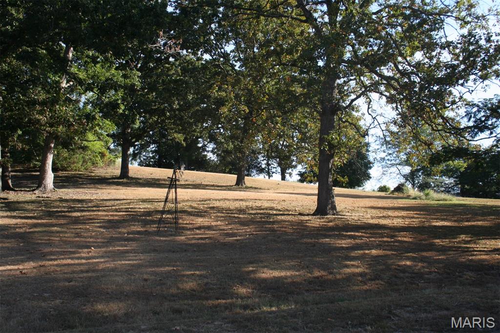 Photo 37