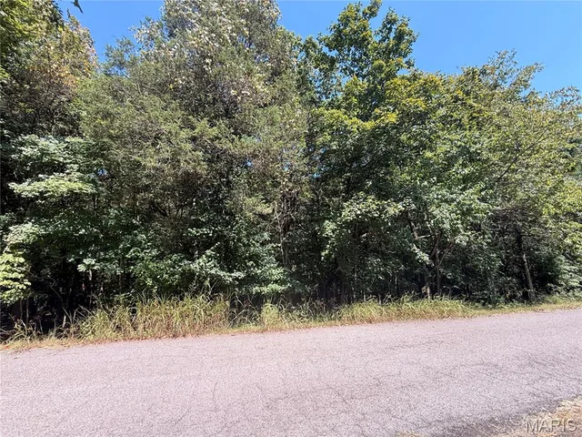 0 Terre Bleue and Hedgeapple Drive, Bonne Terre MO
