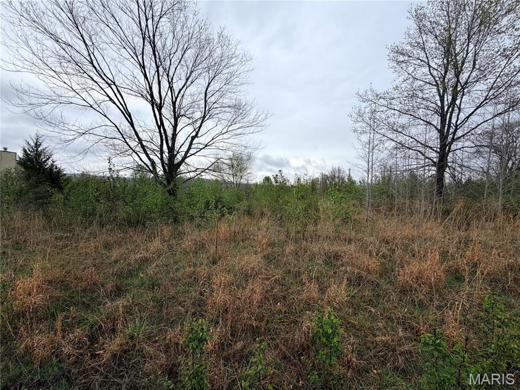 0 Salina Road Waynesville Missouri home for sale listed at $32,500