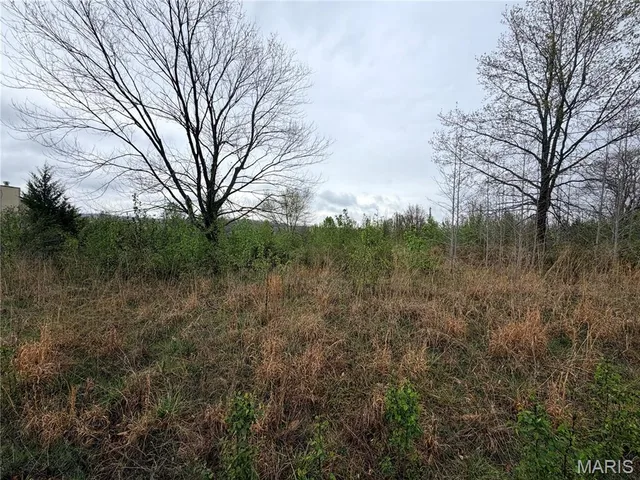 0 Salina Road, Waynesville MO real estate