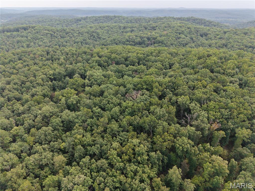 Section 32 Township 29 Range 3 Piedmont Missouri home for sale listed at $40,000,000