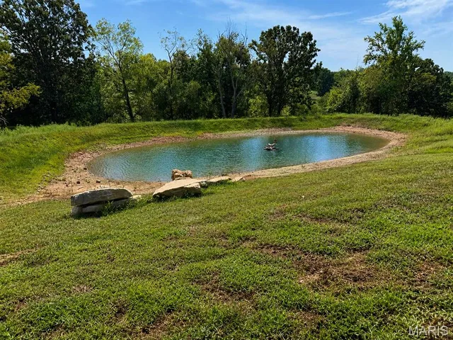 Primary bedroom — 3494 M- Spence School Road Mansfield Missouri real estate