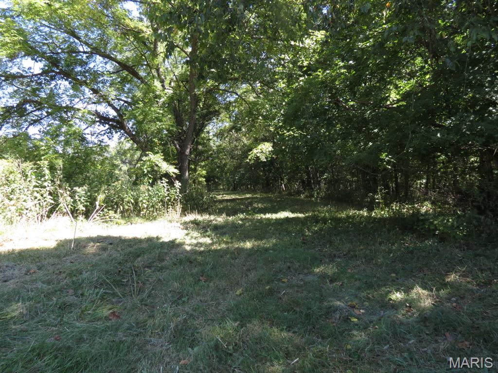 Photo 34