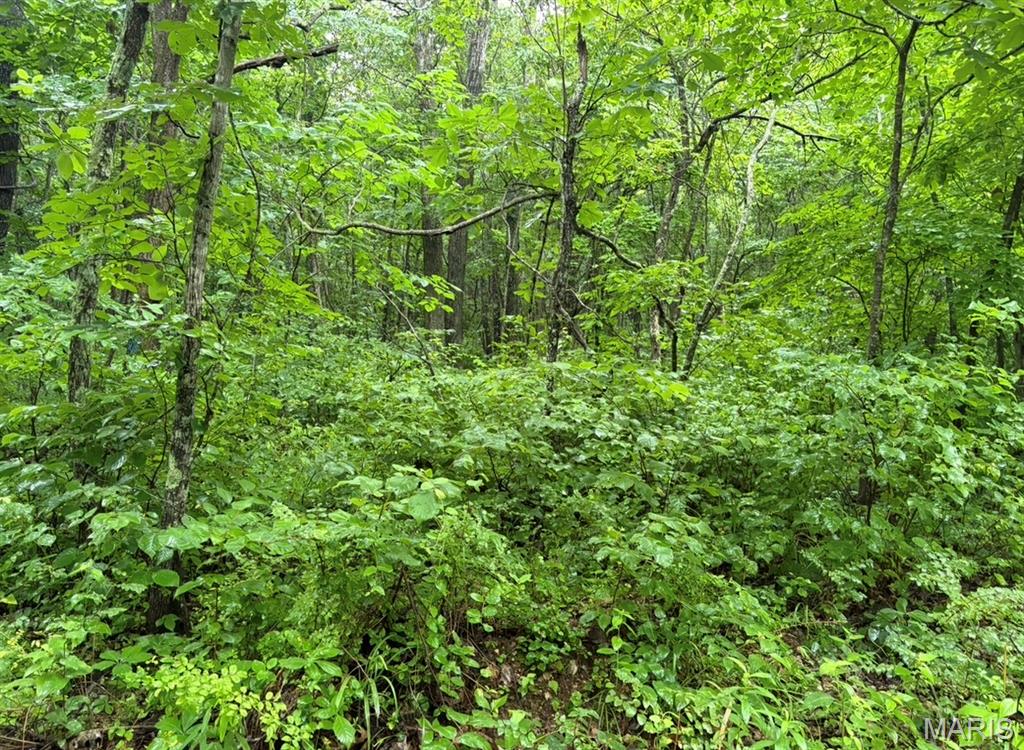 000 County Road 512 Piedmont Missouri home for sale listed at $144,000