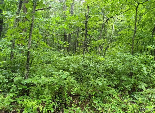 000 County Road 512, Piedmont MO