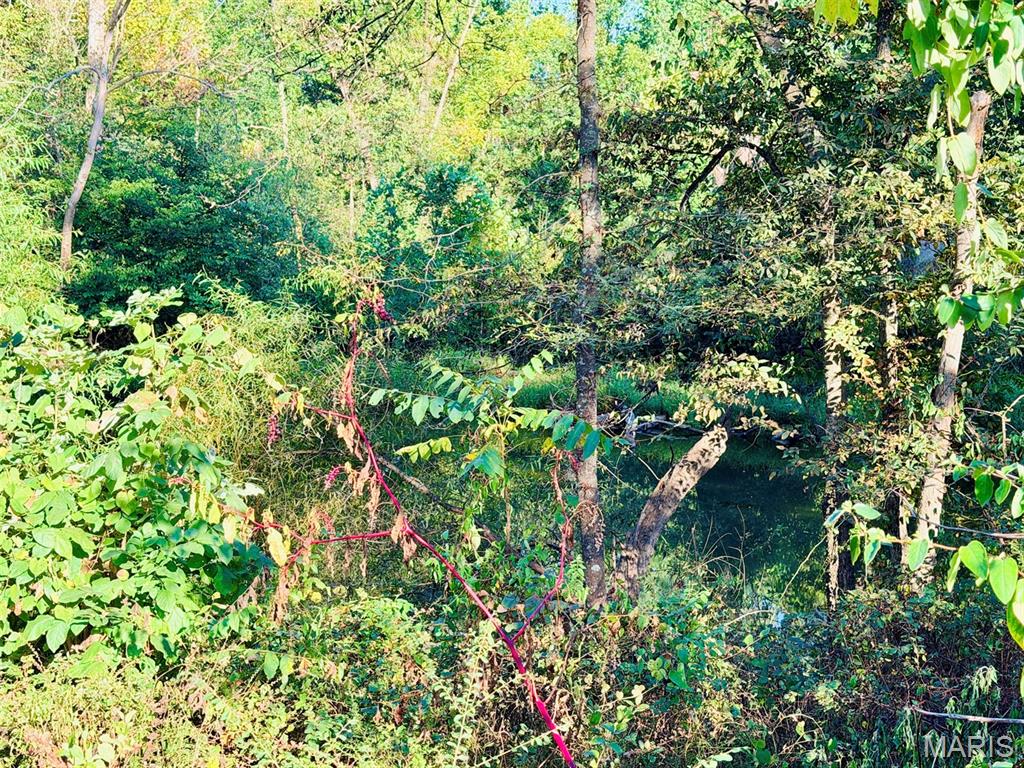 Photo 47