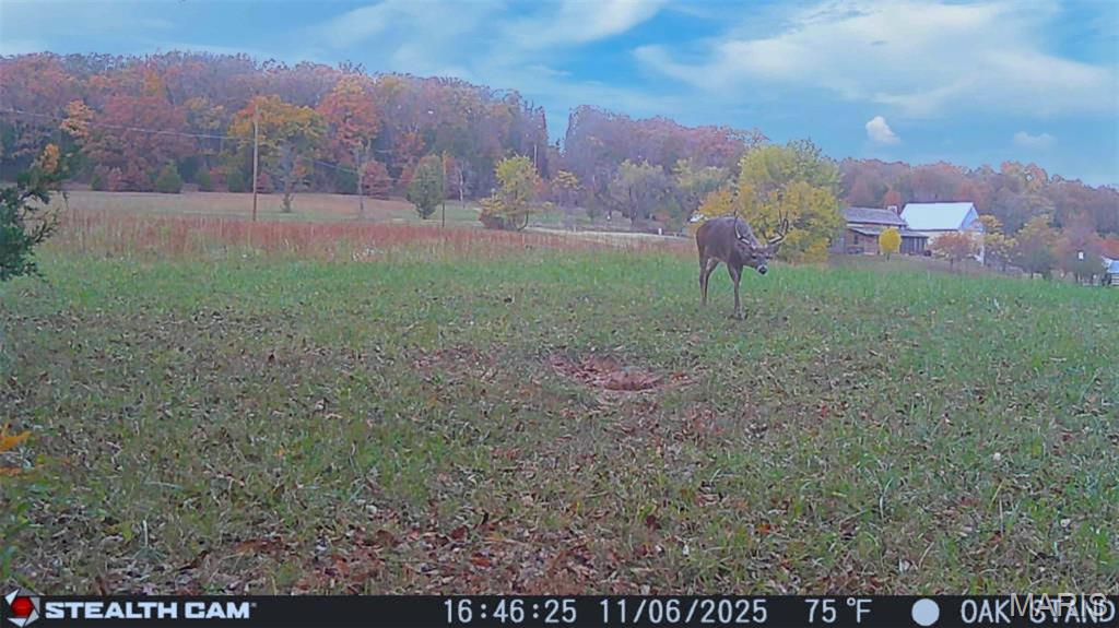 Photo 73