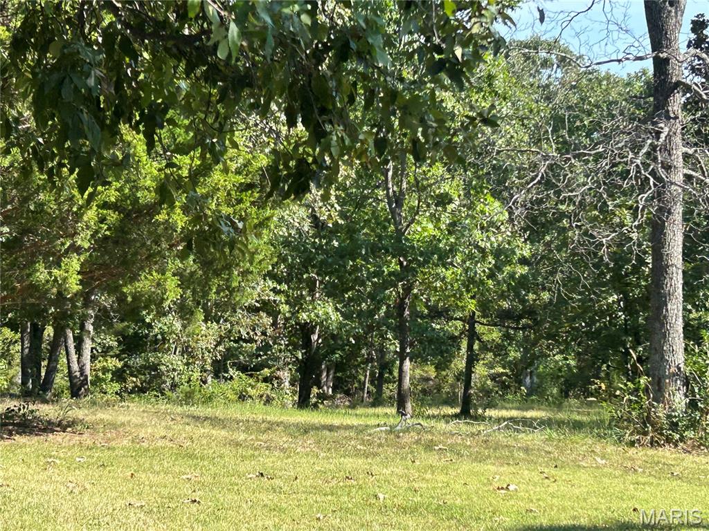 Photo 35