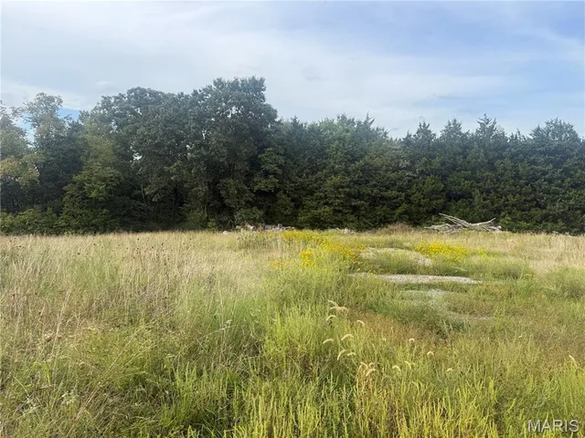Living room — 32 acres Pinckney Street Warrenton Missouri real estate