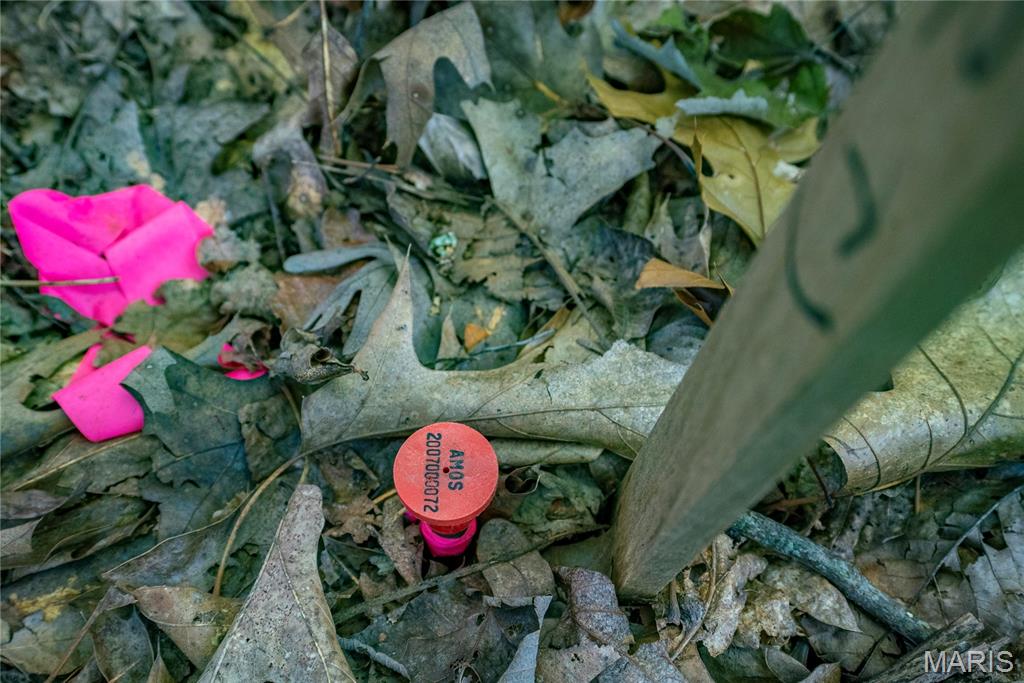 Photo 35