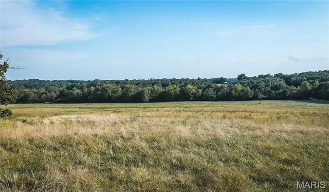 Primary bedroom — 60.51 Acres 4th Owensville Missouri real estate