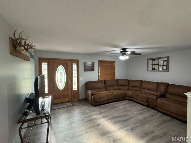 Front exterior — 7098 Highway T Poplar Bluff Missouri real estate