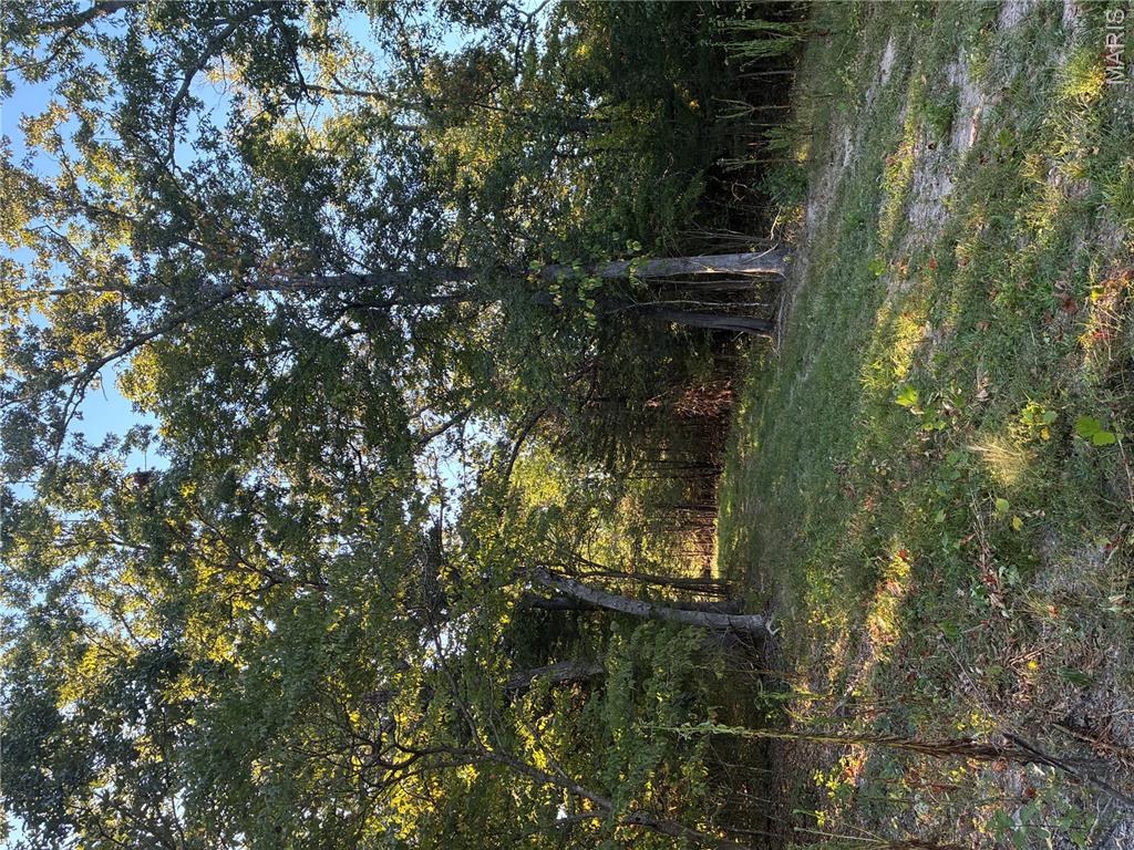 Photo 27