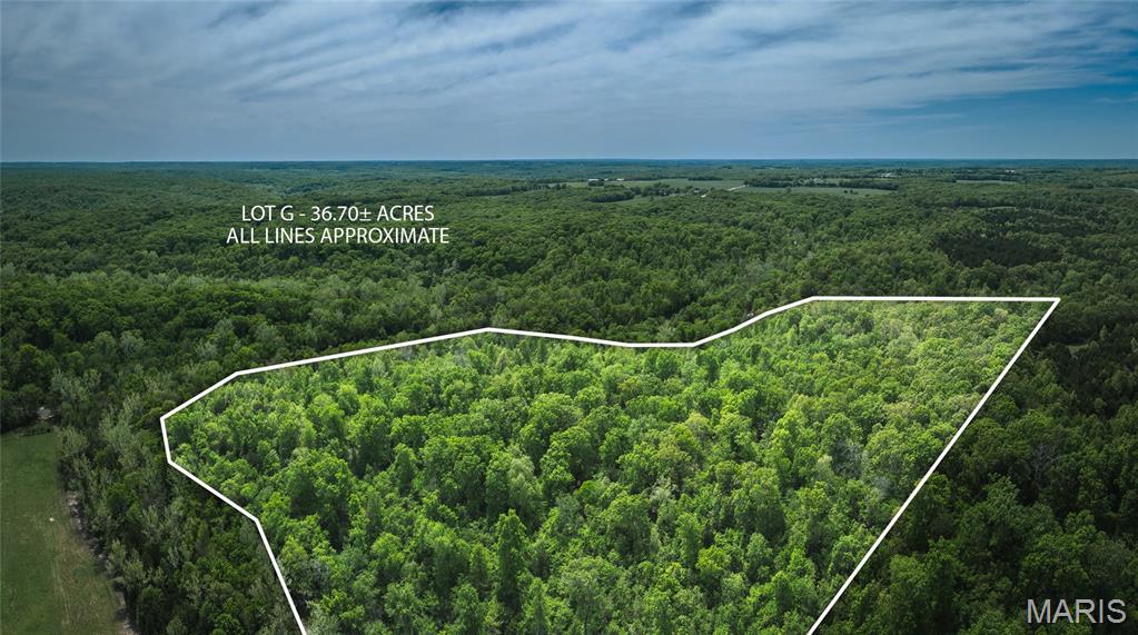 0 Lot G, Armadillo Lane Sullivan Missouri home for sale listed at $253,230