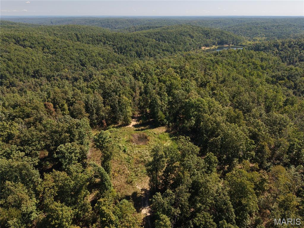 000 Coldwater Creek Road Womack Missouri home for sale listed at $1,198,252