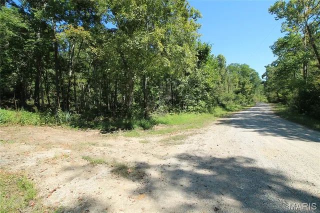 Front exterior — 000 Coldwater Creek Road Womack Missouri real estate