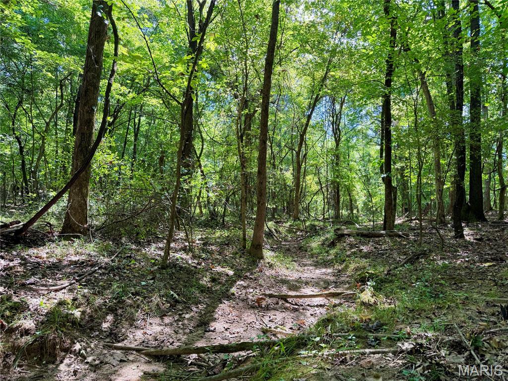19137 County Road 268 Bloomfield Missouri home for sale listed at $350,000