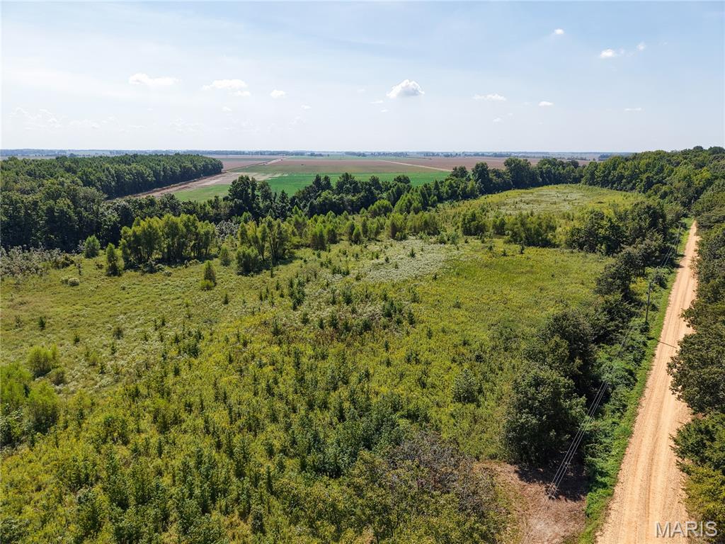 000 County Road 567 Bloomfield Missouri home for sale listed at $134,900