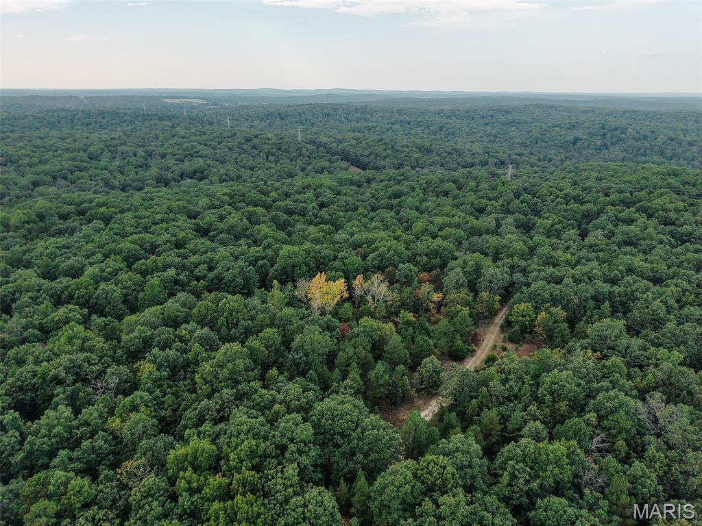 250.96 +/- Delbridge Road Potosi Missouri home for sale listed at $727,900