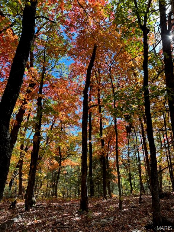 7919 County Road 4055, Unincorporated MO