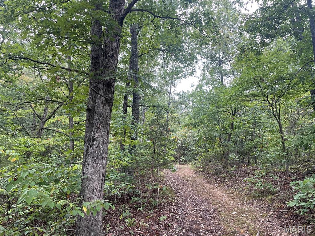 X CR 339 Piedmont Missouri home for sale listed at $172,500