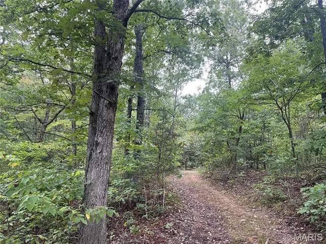 X CR 339, Piedmont MO