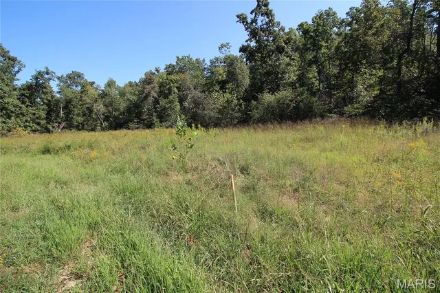 Kitchen — 000 Coldwater Creek_Lot 1 Womack Missouri real estate