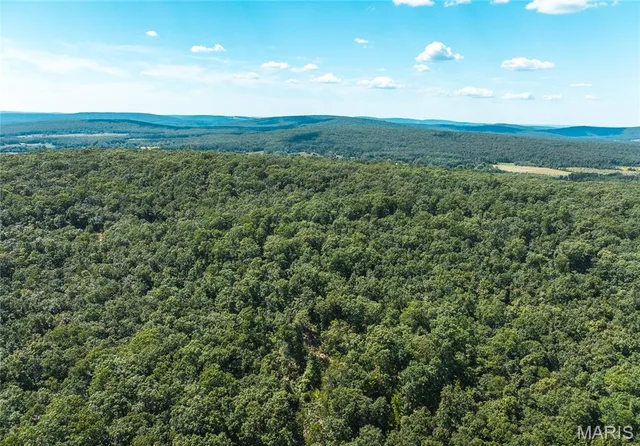 Primary bedroom — 5 Buck Mountain Road Doe Run Missouri real estate