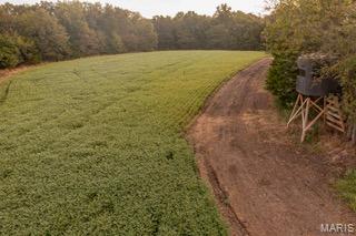 00 Abbott Road, Bellflower MO