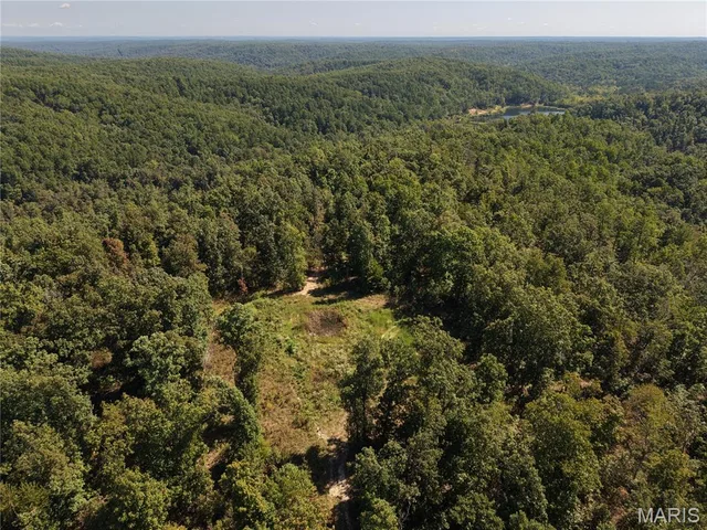 000 Coldwater Creek_Lot 2, Womack MO
