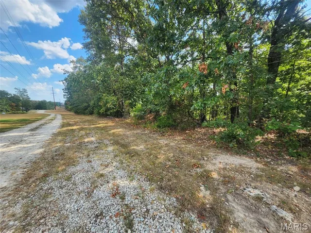 Living room — 0 M- Old Highway 60 Unincorporated Missouri real estate