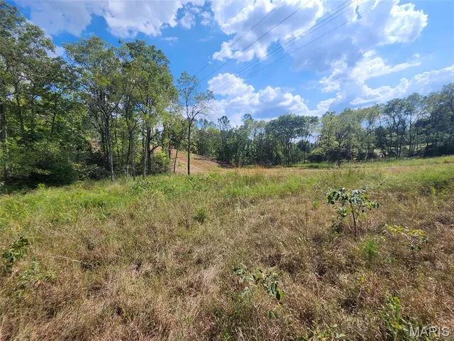 Kitchen — 0 M- Old Highway 60 Unincorporated Missouri real estate