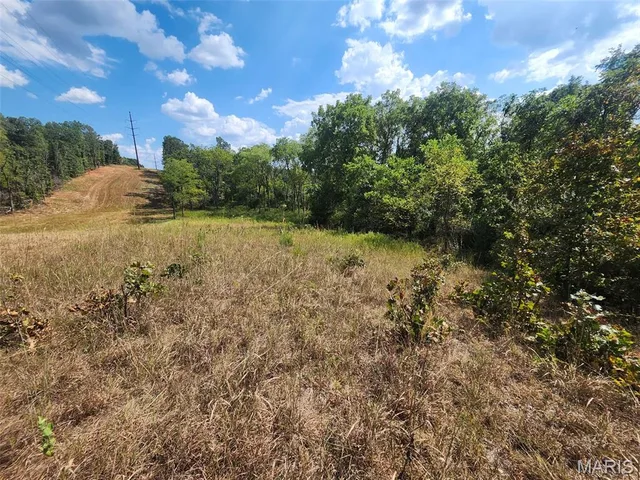 Primary bedroom — 0 M- Old Highway 60 Unincorporated Missouri real estate