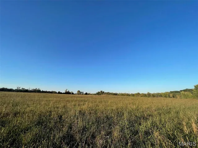 Primary bedroom — 0 10.189 Acres off Madison 534 Fredericktown Missouri real estate