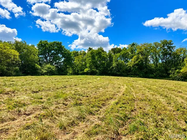Primary bedroom — 0 TRACT 4 5.27 AC COUNTY ROAD 4008 Holts Summit Missouri real estate