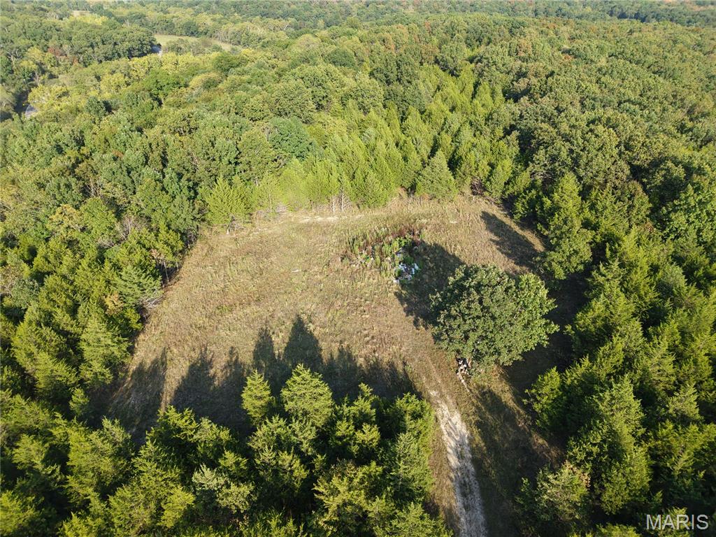 0 Calvin Lane Dixon Missouri home for sale listed at $65,000