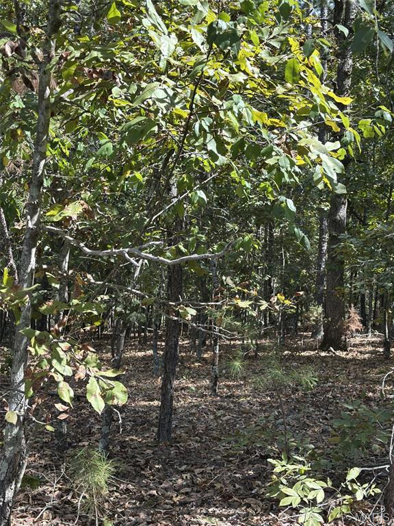 001 County Road 315 - H Van Buren Missouri home for sale listed at $40,000