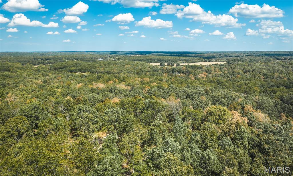 000 County Road 2150 Edgar Springs Missouri home for sale listed at $490,000