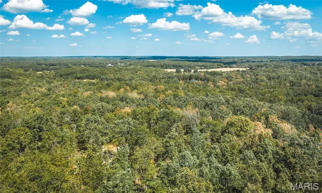000 County Road 2150, Edgar Springs MO