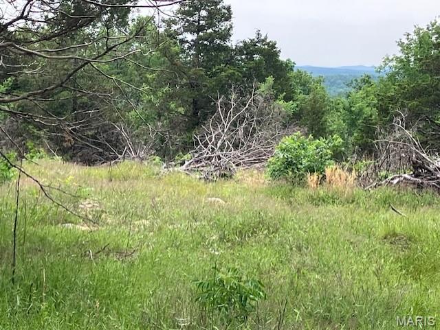 43 Madison CR 410, Fredericktown MO