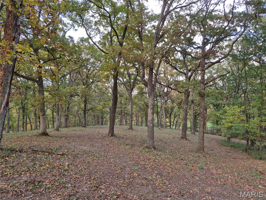 0 Highway D - Tract 5a (14+/- Acres) Eolia Missouri home for sale listed at $203,000