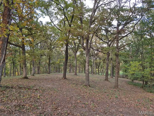 0 Highway D - Tract 5a (14+/- Acres), Eolia MO