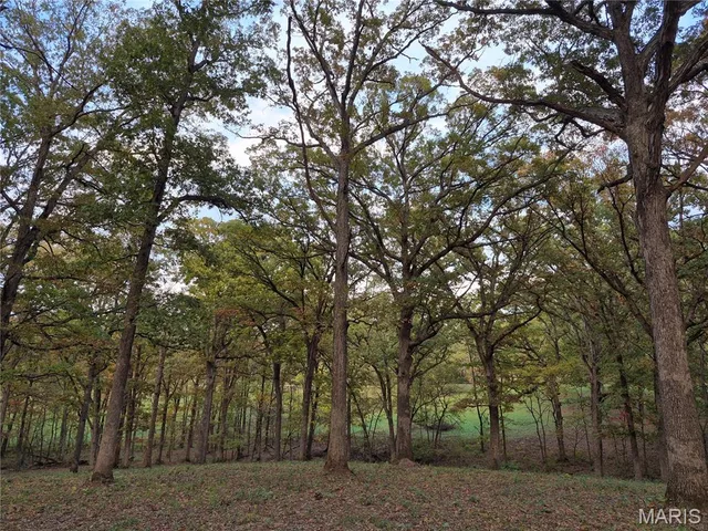 Front exterior — 0 Highway D - Tract 5a (14+/- Acres) Eolia Missouri real estate