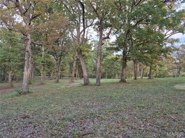 Living room — 0 Highway D - Tract 5a (14+/- Acres) Eolia Missouri real estate