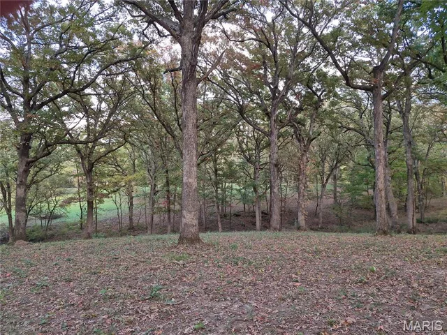 Primary bedroom — 0 Highway D - Tract 5a (14+/- Acres) Eolia Missouri real estate